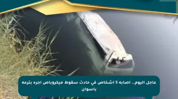 عاجل اليوم.. إصابة 5 أشخاص في حادث سقوط ميكروباص أجرة بترعة بأسوان